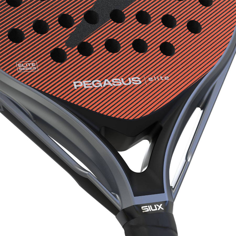 121753-pala-siux-pegasus-elite-4-200055-1500×1500-6