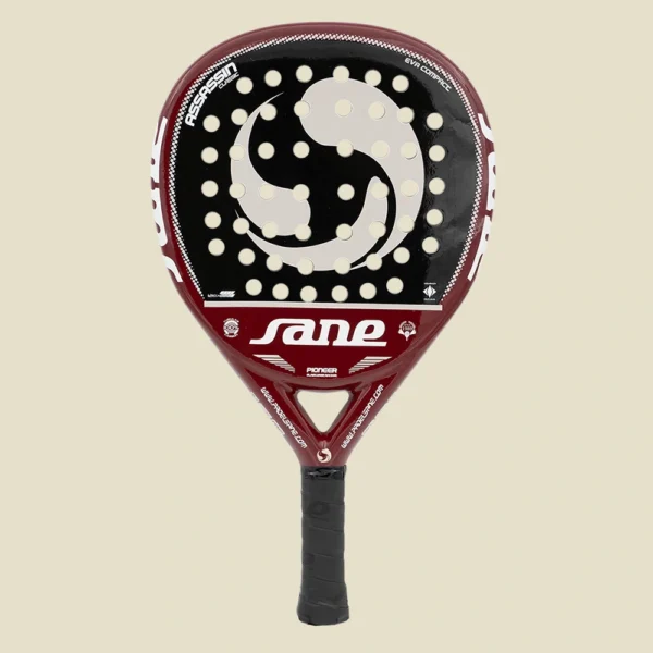 Sane ASSASSIN Classic 12K